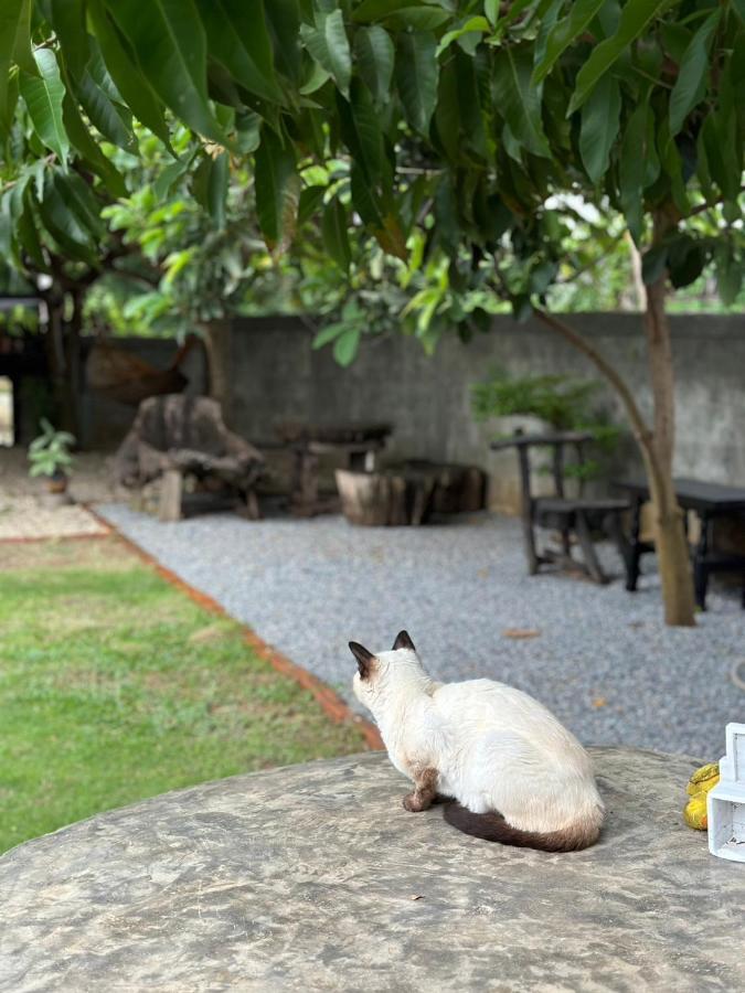 The Legend Homestay. Mae Ai Eksteriør billede